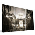 Florida Gators 24" x 48" Stadium Canvas Print