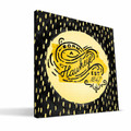 Iowa Hawkeyes 12" x 12" Born a Fan Canvas Print