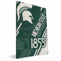 Michigan State Spartans Retro Canvas Print