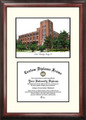 DePaul Blue Demons Scholar Diploma Frame