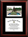 Stephen F. Austin State Lumberjacks Diplomate Diploma Frame