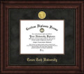 Texas Tech Red Raiders Executive Diploma Frame