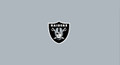 Las Vegas Raiders NFL Team Logo Billiard Cloth