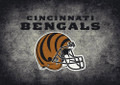 Cincinnati Bengals 8' x 11' NFL Distressed Area Rug