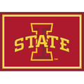 Iowa State Cyclones 3' x 4' Area Rug