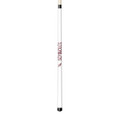 Florida State Seminoles Short Pool Cue