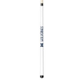 Michigan Wolverines Short Pool Cue