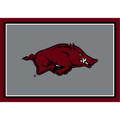 Arkansas Razorbacks Spirit Area Rug
