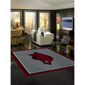 Arkansas Razorbacks Spirit Area Rug