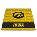 Iowa Hawkeyes Impresa Picnic Blanket