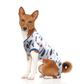 Florida Gators Pet PJ's