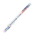 Gill Athletics Pacer FXV Vaulting Pole
