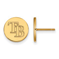 Tampa Bay Rays Logo Art Sterling Silver Gold Plated Small Disc Earrings