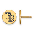 Tampa Bay Rays Logo Art Sterling Silver Gold Plated Disc Earrings