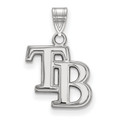Tampa Bay Rays MLB Ss Small Pendant