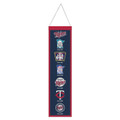 Minnesota Twins 8" x 32" Evolution Wool Banner