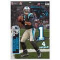 Carolina Panthers Multi Use Decal