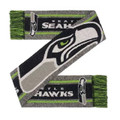 Seattle Seahawks Big Logo Wordmark Scarf