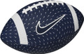 Nike Playground Youth Football