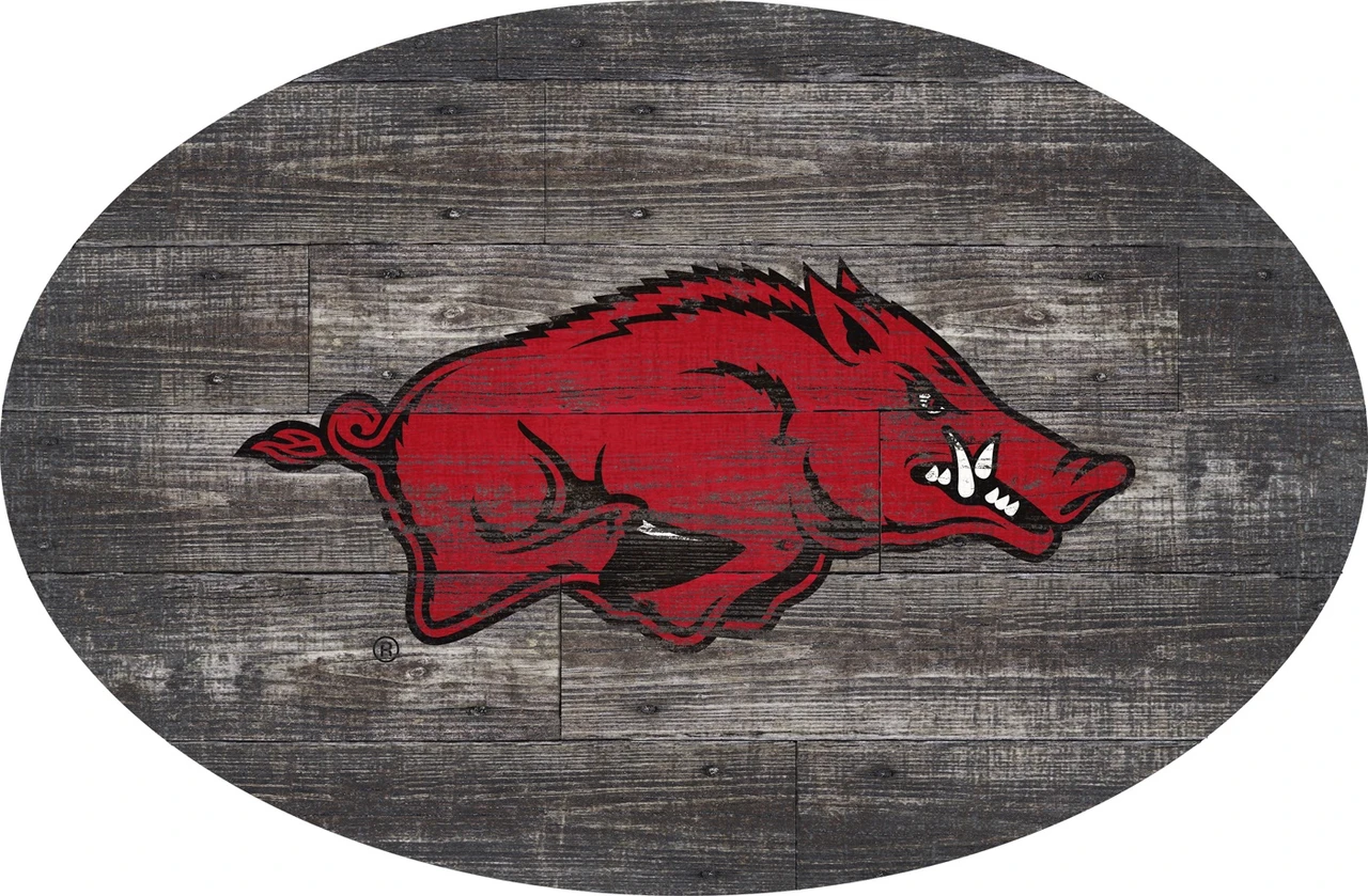 Arkansas Razorbacks 46