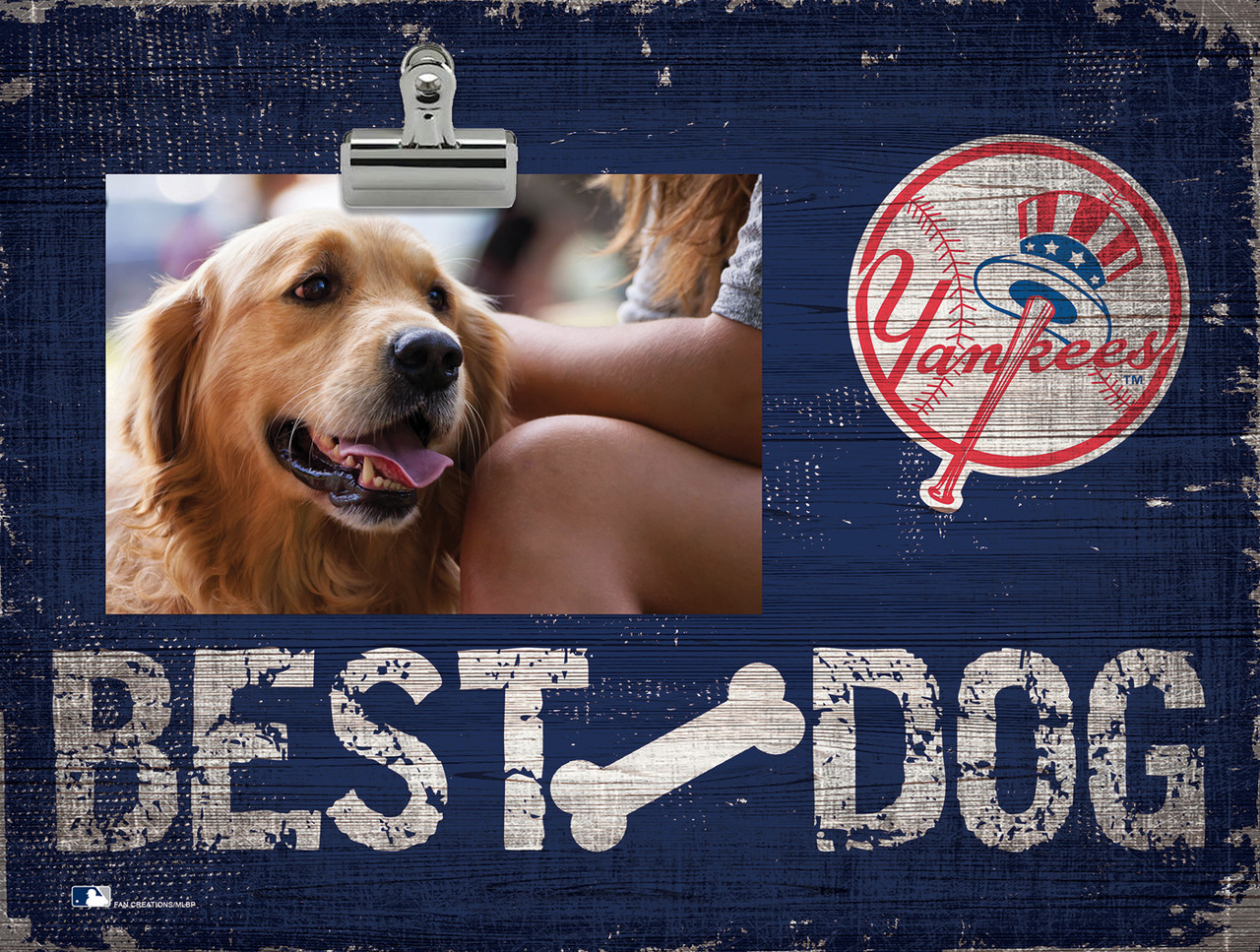 New York Yankees  Pet Products at Discount Pet Deals