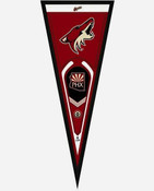 Arizona Coyotes Collectibles