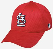 Team Baseball Accessories