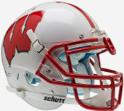 Wisconsin Badgers Collectibles
