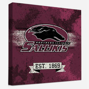 Southern Illinois Salukis Home & Office