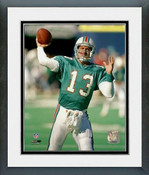 Miami Dolphins Photos & Wall Art
