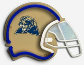 Pittsburgh Panthers Game Room & Fan Cave