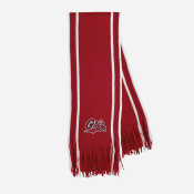 Montana Grizzlies Accessories