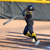 Fastpitch Softball Equipment