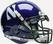 Northwestern Wildcats Collectibles