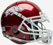 Arkansas Razorbacks Collectibles