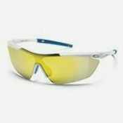Smith Interchangeable Sunglasses