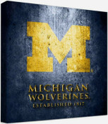 Michigan Wolverines Photos & Wall Art
