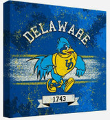 Delaware Blue Hens Home & Office