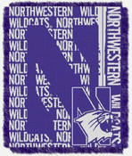 Northwestern Wildcats Bed & Bath