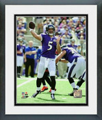 Baltimore Ravens Photos & Wall Art