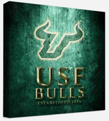 South Florida Bulls Photos & Wall Art