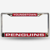 Youngstown State Penguins Car Accessories
