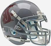 Washington State Cougars Collectibles