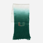 Miami Hurricanes Accessories