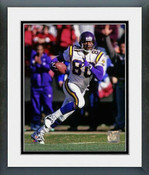 Minnesota Vikings Photos & Wall Art