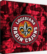 Louisiana Lafayette Ragin' Cajuns Home & Office