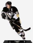 Pittsburgh Penguins Collectibles