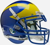 Delaware Blue Hens Collectibles