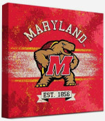 Maryland Terrapins Photos & Wall Art