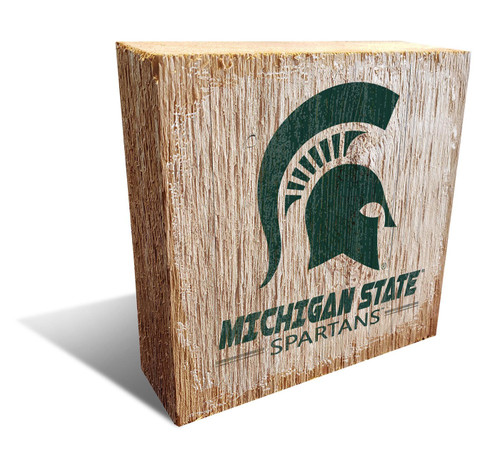 Michigan State Spartans Team Logo Block